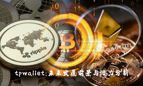tpwallet：未来发展前景与潜力分析