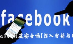 :国际版TP Wallet到底安全吗？深入分析与用户体验