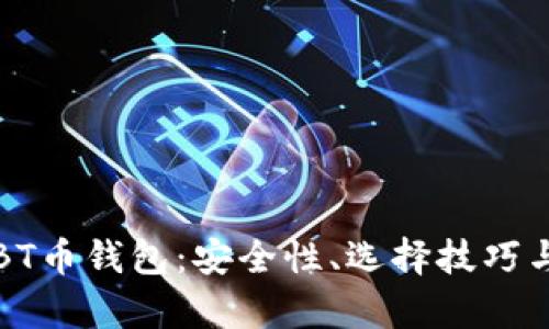 全面解析BT币钱包：安全性、选择技巧与使用指南