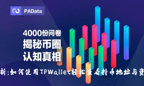 全面解析：如何使用TPWallet轻松查看持币地址与资产信息