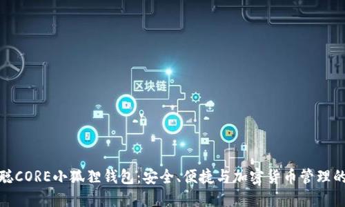 揭秘中本聪CORE小狐狸钱包：安全、便捷与加密货币管理的完美结合