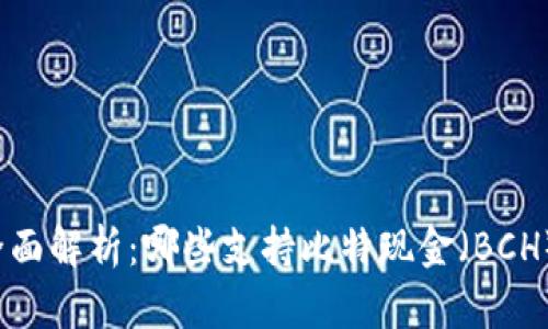 全面解析：哪些支持比特现金（BCH）？